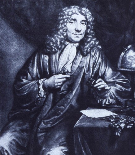 leeuwenhoek