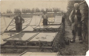 Tuinder Van Marrewijk